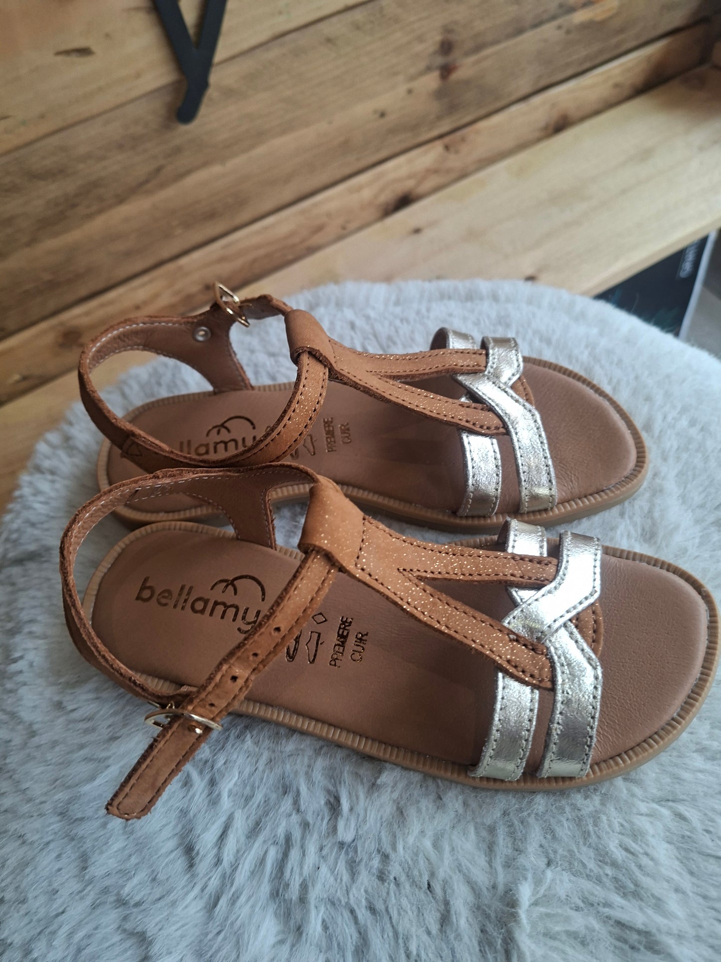 Jilou camel
