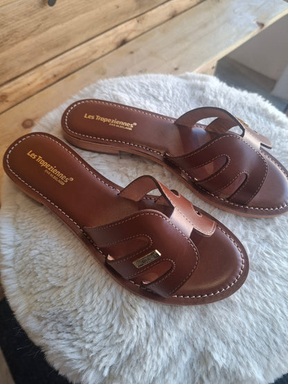 Damia camel