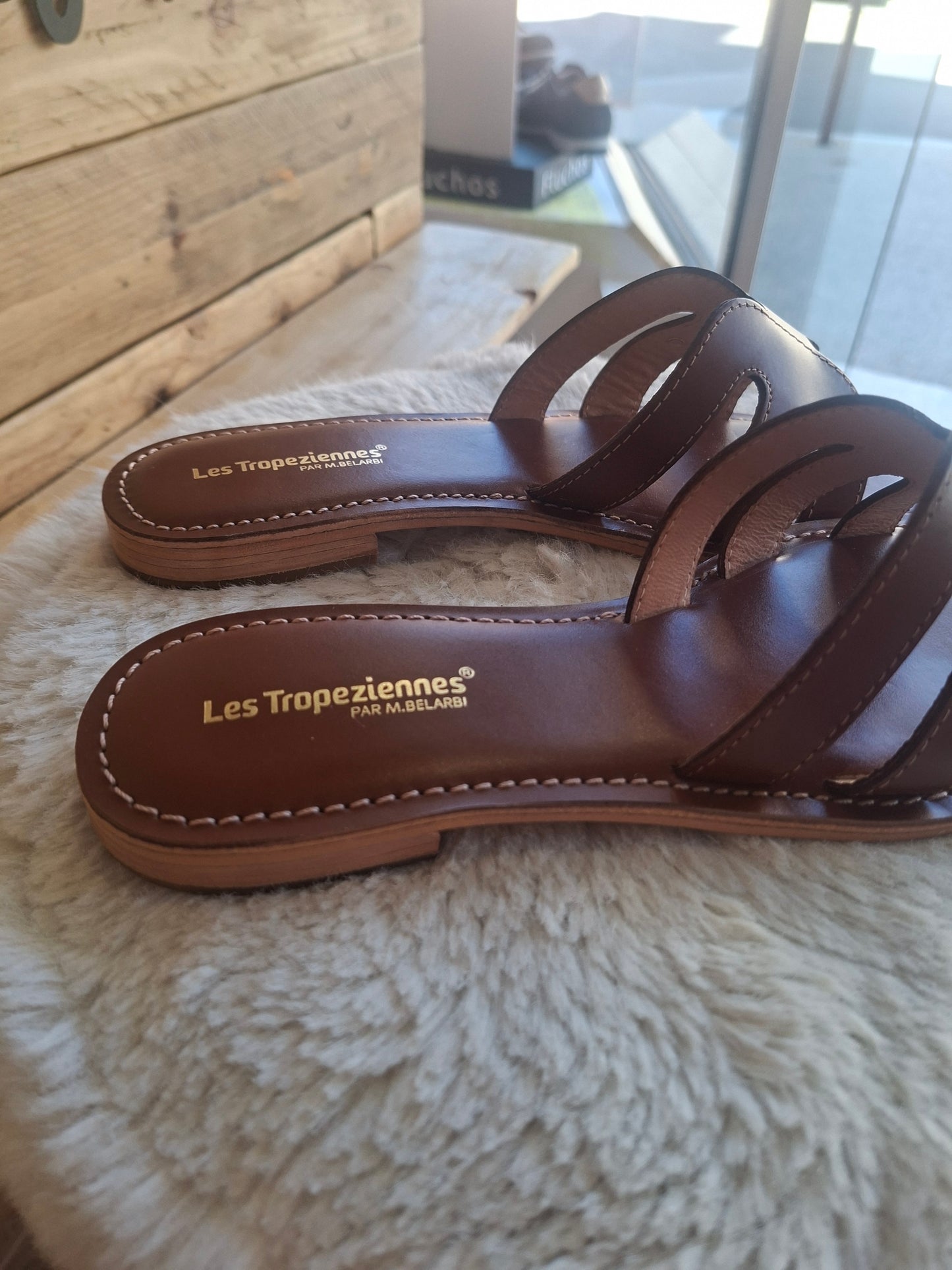 Damia camel